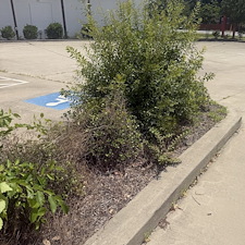 Commercial-Cleanup-Project-in-Conway-SC 12